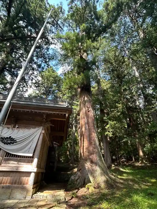 刈谷沢神明宮(長野県)
