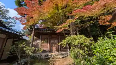地藏院(京都府)