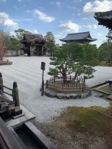 仁和寺の庭園