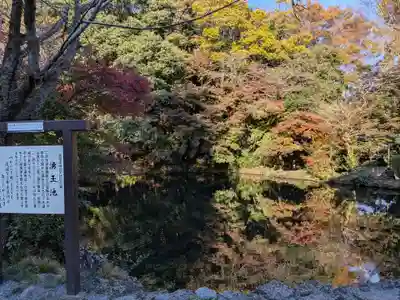 富士山本宮浅間大社(静岡県)