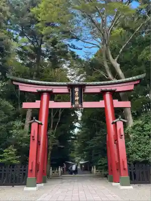 彌彦神社(新潟県)