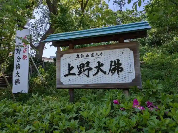 上野大佛(東京都)