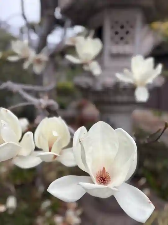 無量寿院(兵庫県)