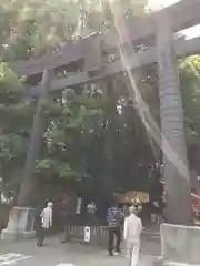 高千穂神社の鳥居