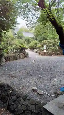 唐澤山神社(栃木県)