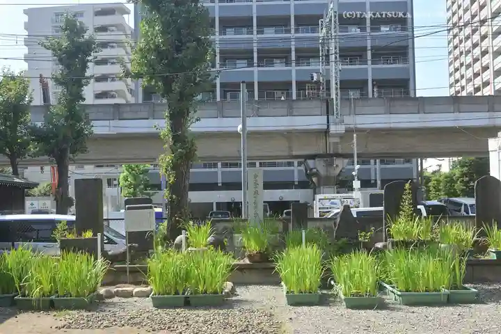 磐井神社(東京都)