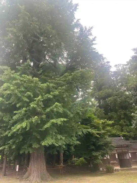 神門神社(兵庫県)