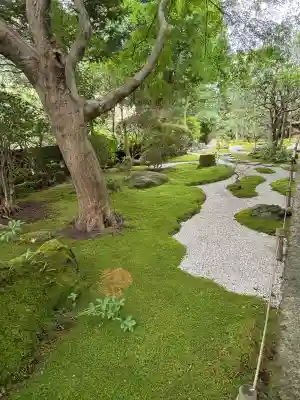 報国寺(神奈川県)