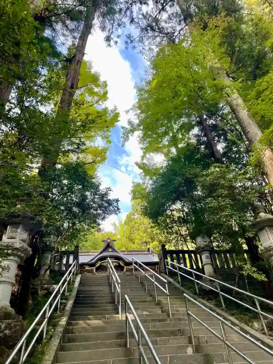 宝登山神社(埼玉県)