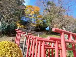 白狐山光星寺(山形県)(2025年11月26日(水) 22時26分41秒投稿)