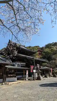今熊野観音寺(京都府)