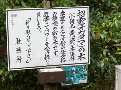 息栖神社の歴史