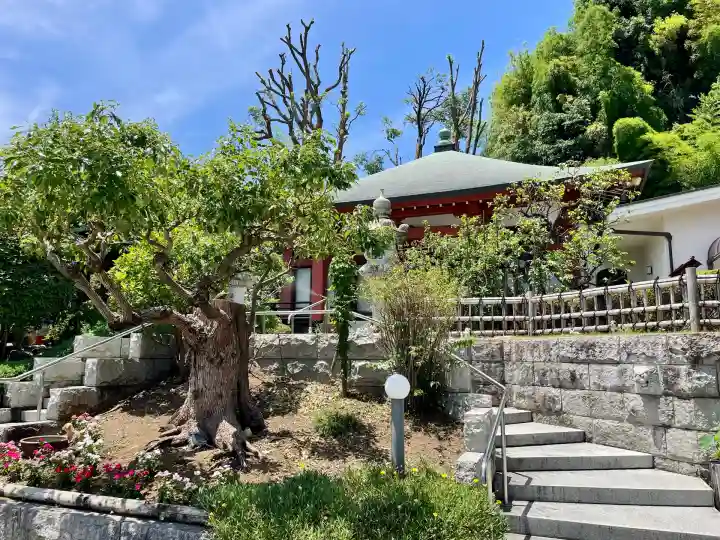 浄土宗 光明山 大蓮寺(照曜会館)(神奈川県)