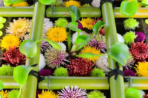 くろ谷 金戒光明寺の手水舎