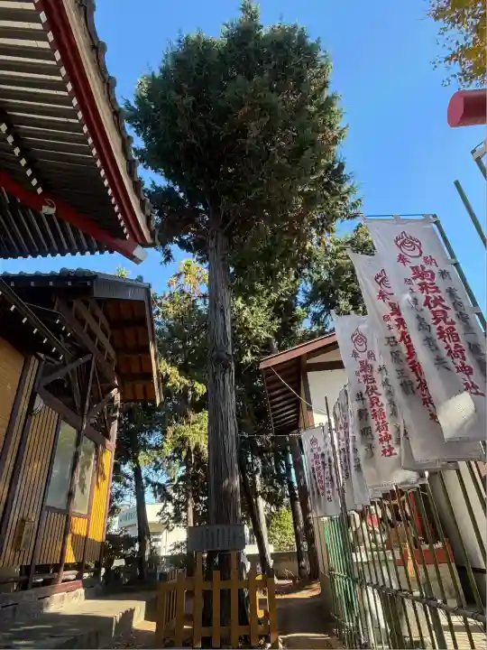 駒形伏見稲荷神社(群馬県)