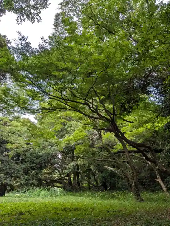 明治神宮(東京都)