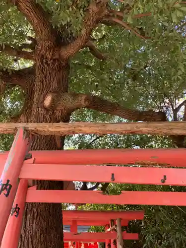 王子神社の鳥居