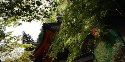 出雲大神宮のその他建物