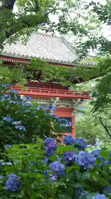 楽法寺（雨引観音）(茨城県)