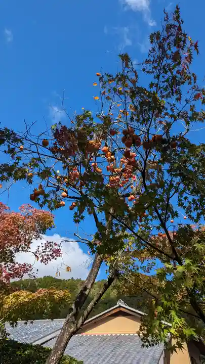化野念仏寺(京都府)