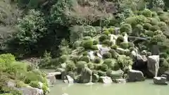 根来寺 智積院の庭園