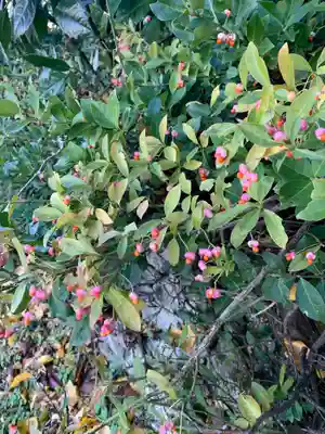 五龍地神社(福島県)