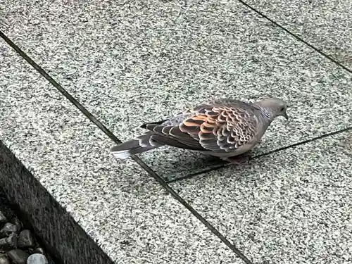 持寳院(多氣山不動尊)(栃木県)