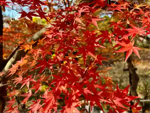 北野天満宮(京都府)