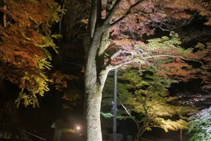 三春大神宮の自然