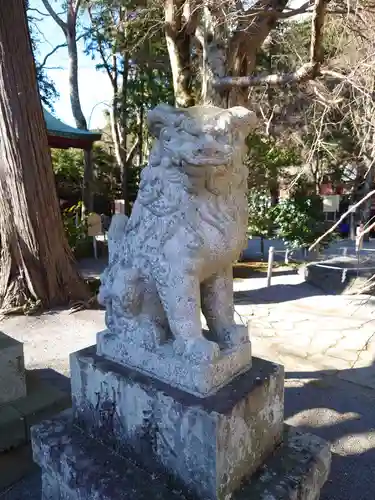 伊豆山神社の狛犬