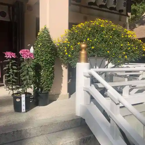 公智神社のその他建物