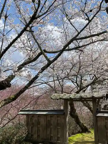 勝持寺（花の寺）(京都府)