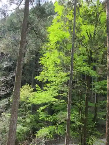 二上神社の自然