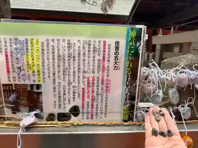 住吉大社(大阪府)