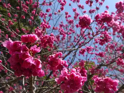長谷寺(神奈川県)