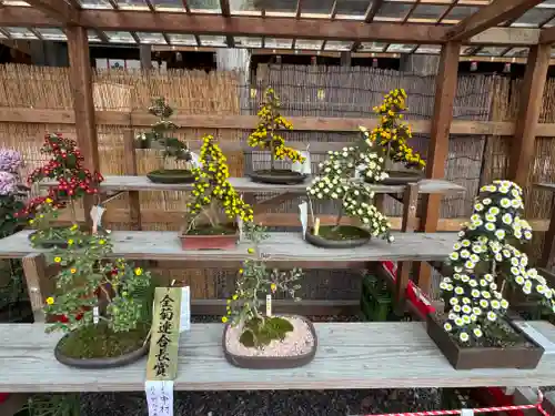 諏訪大社下社秋宮(長野県)