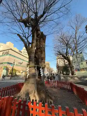大國魂神社(東京都)