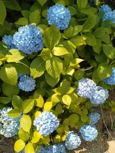 石母田　三吉神社(福島県)