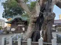 阿邪訶根神社の自然