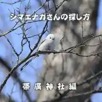 帯廣神社(北海道)