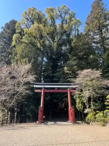 霧島東神社の鳥居