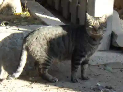 角宮神社の動物