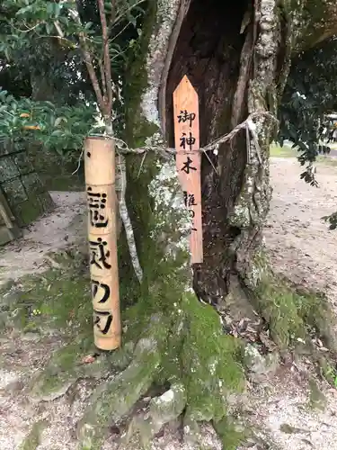 竃門菅原神社の手水舎