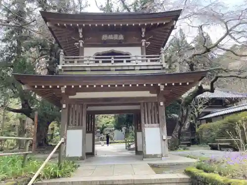 浄智寺の山門