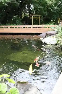 愛宕神社(東京都)
