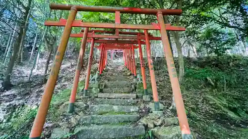 導観稲荷神社の鳥居