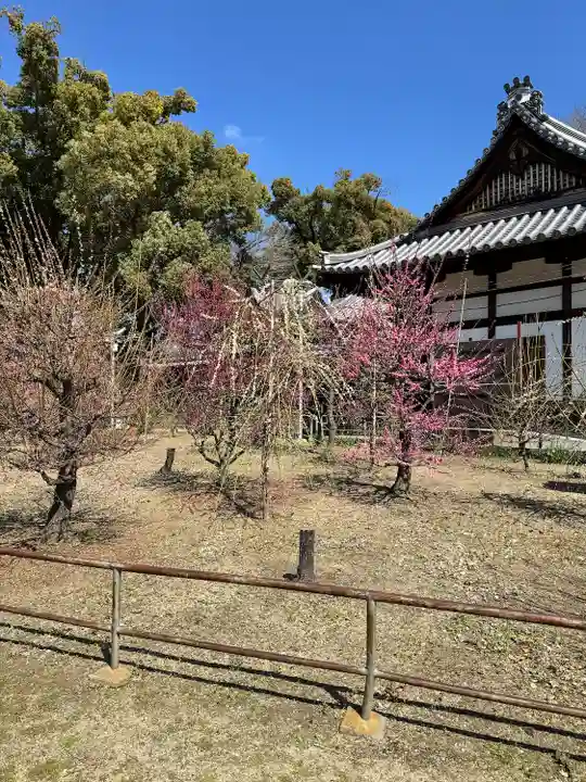 渋川神社(大阪府)