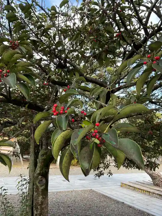 田縣神社(愛知県)