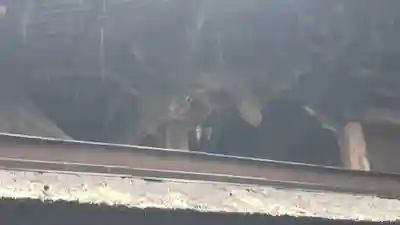 手力雄神社の芸術