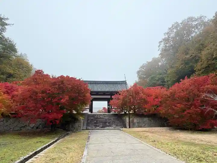 光信寺の山門・神門